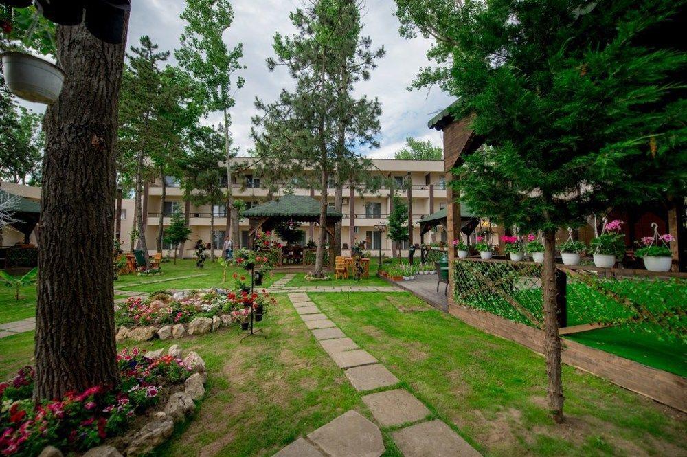 Voila Hotel 3*